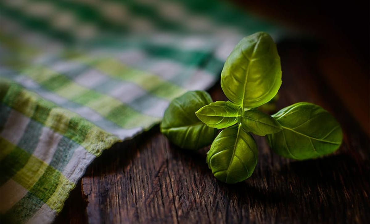 basilico