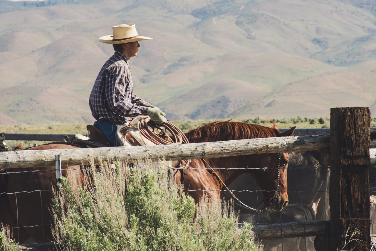 cowboy
