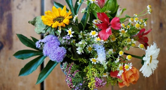 fiori