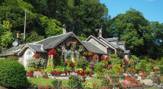 giardino