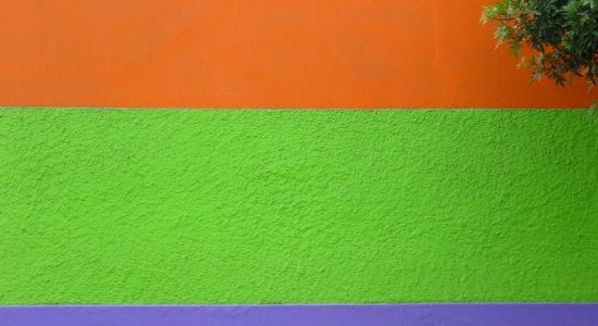 muffa parete colorata