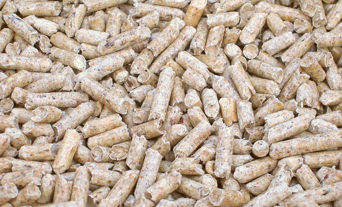 pellet