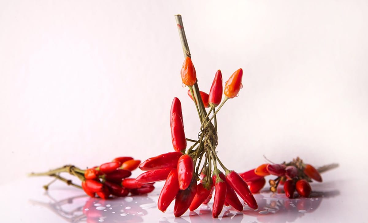 peperoncino rosso