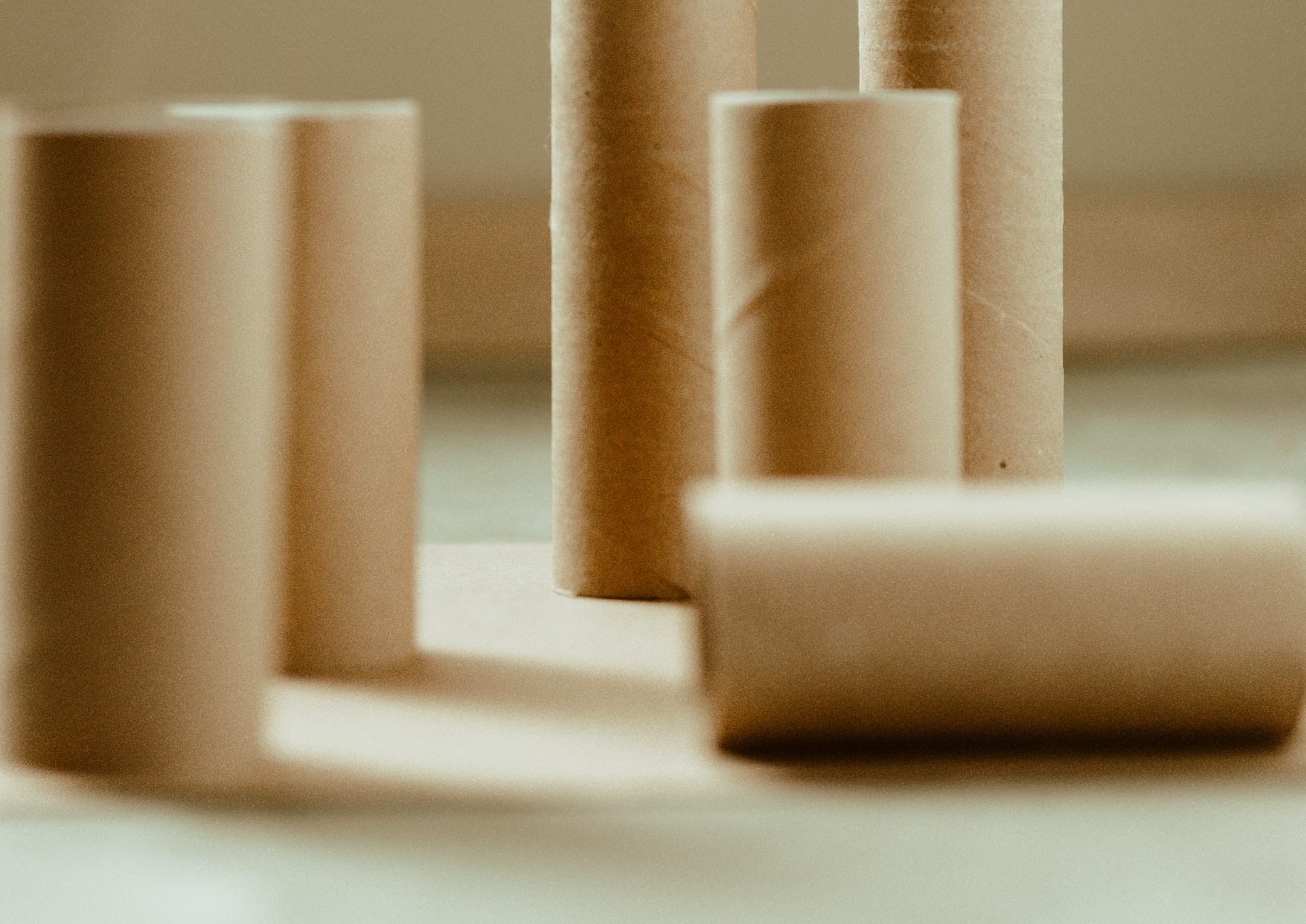 rotoli di carta igienica