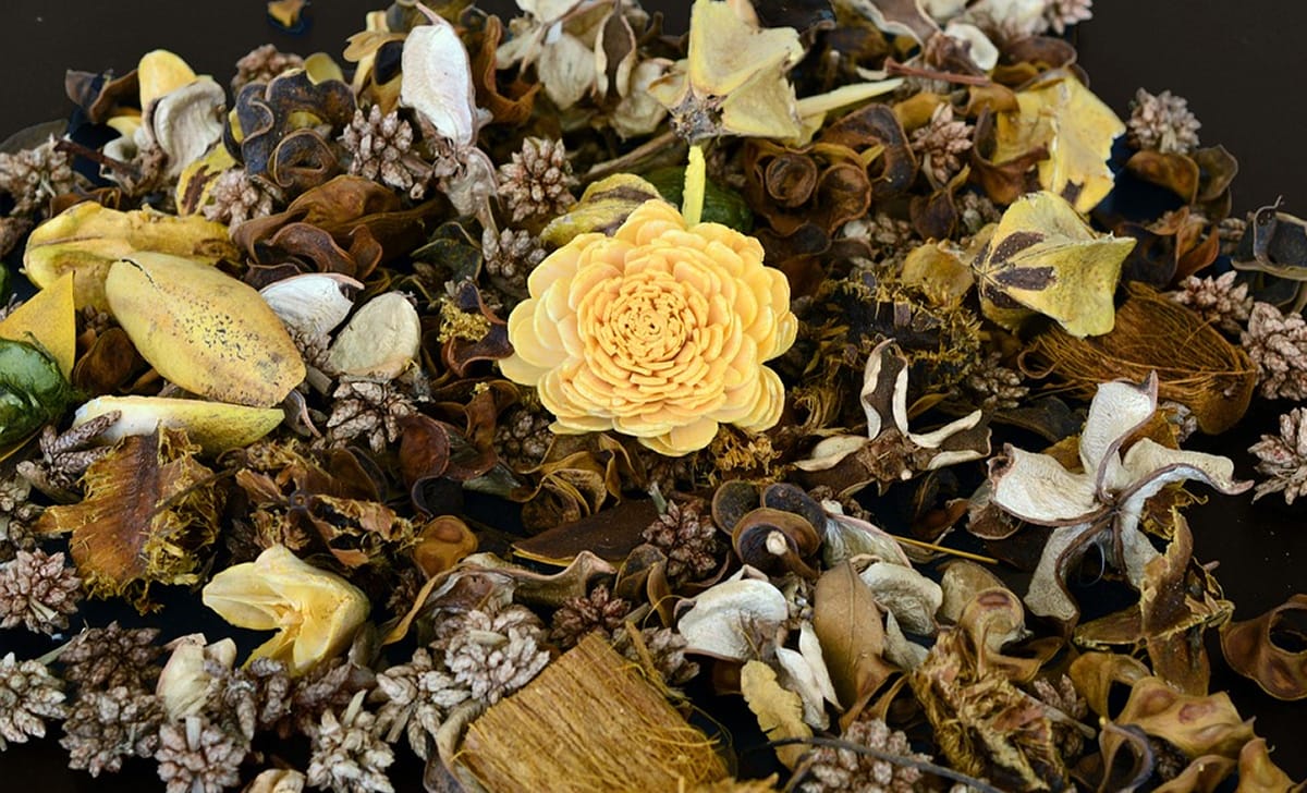 potpourri