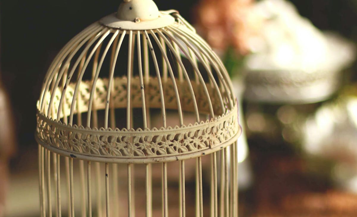 gabbia uccellini