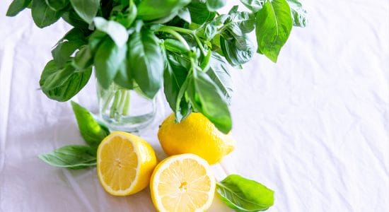 limoni
