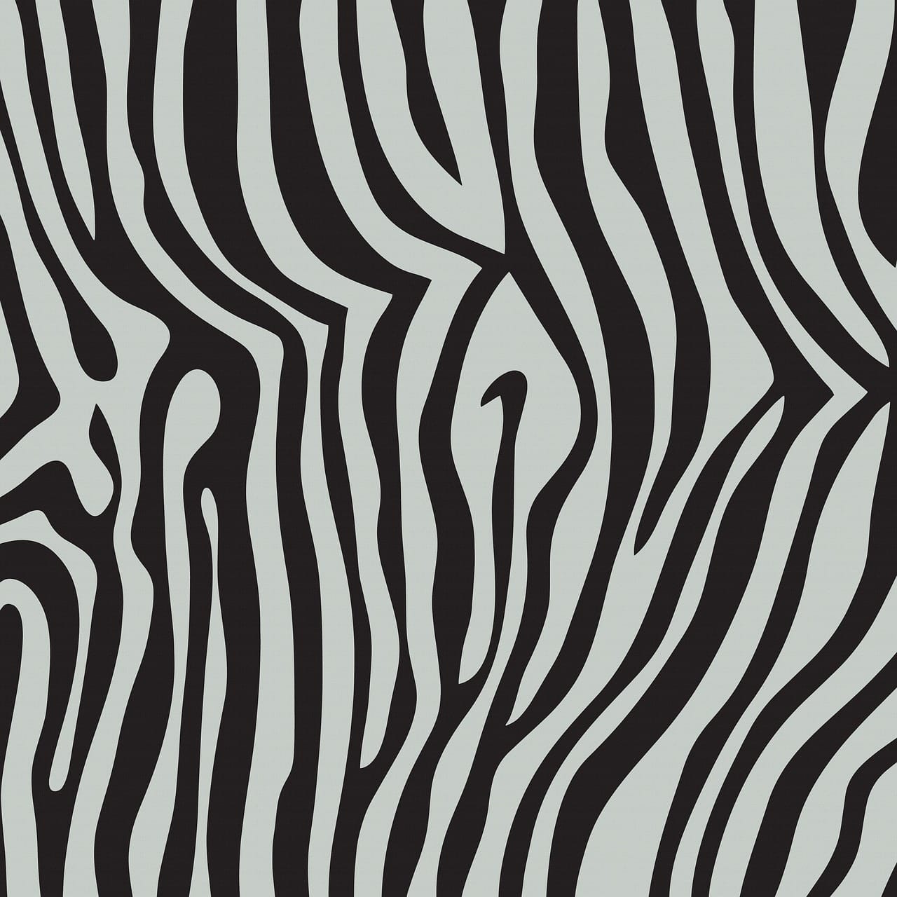 stampa zebra