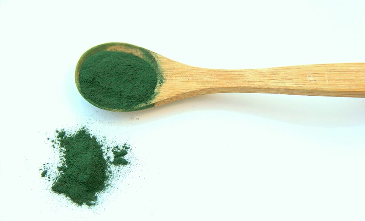 alga spirulina