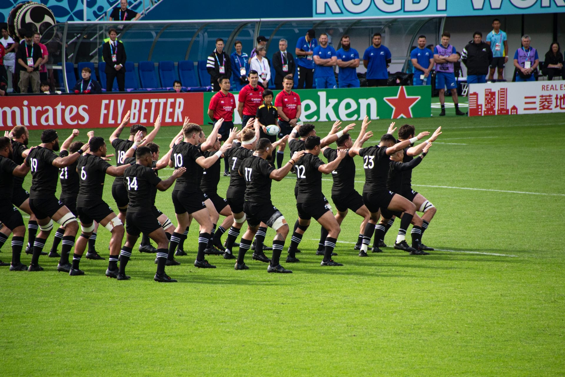 danza haka