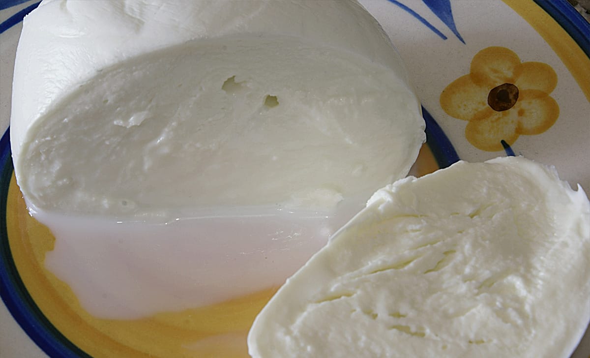 zizzona di battipaglia