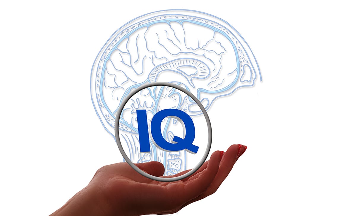 quoziente intellettivo