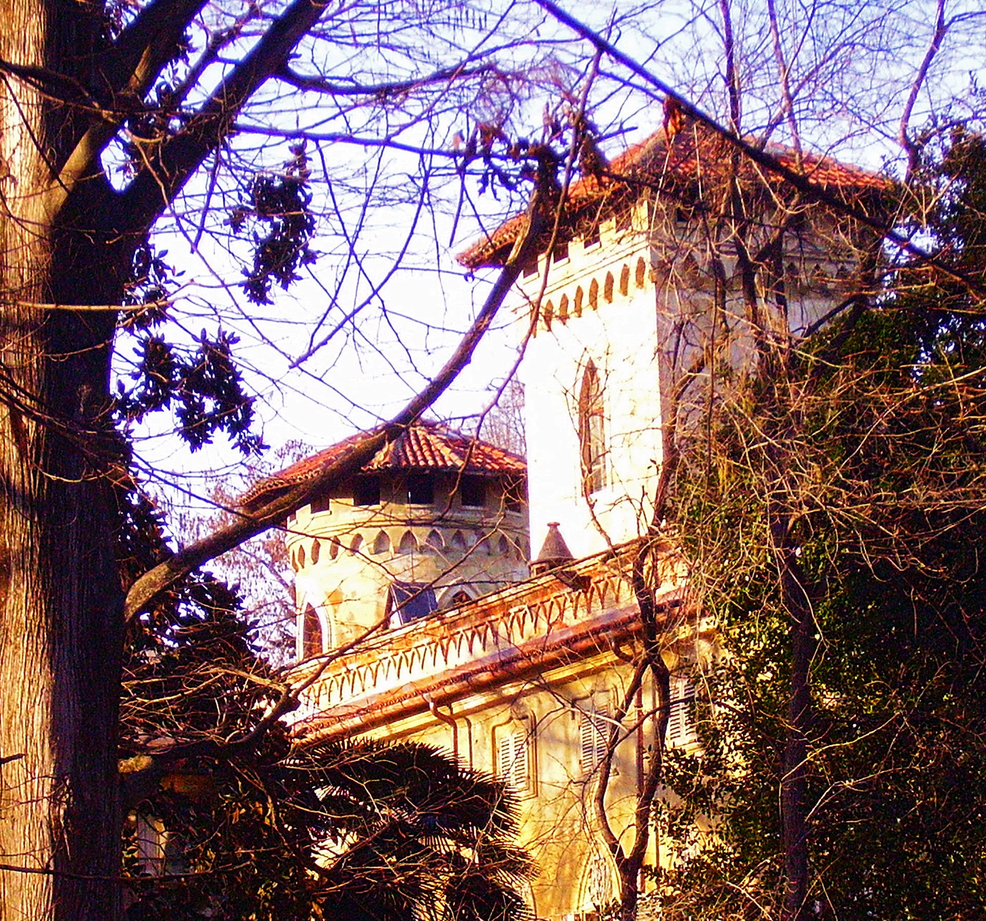 Castello di Miradolo