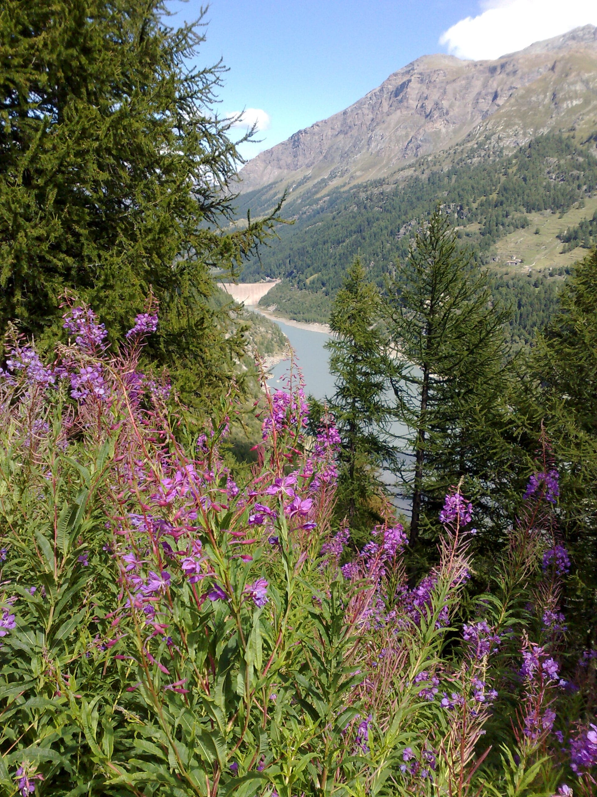 Lago di Beauregard Valgrisenche Valle D'Aosta