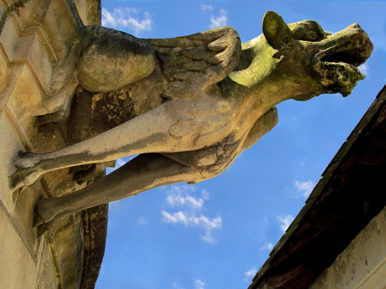gargoyle, Saint Gatien, Tours