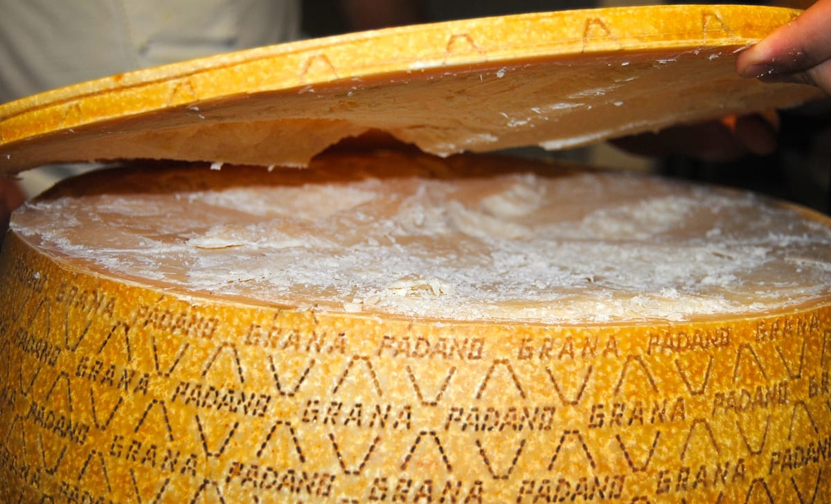 grana padano