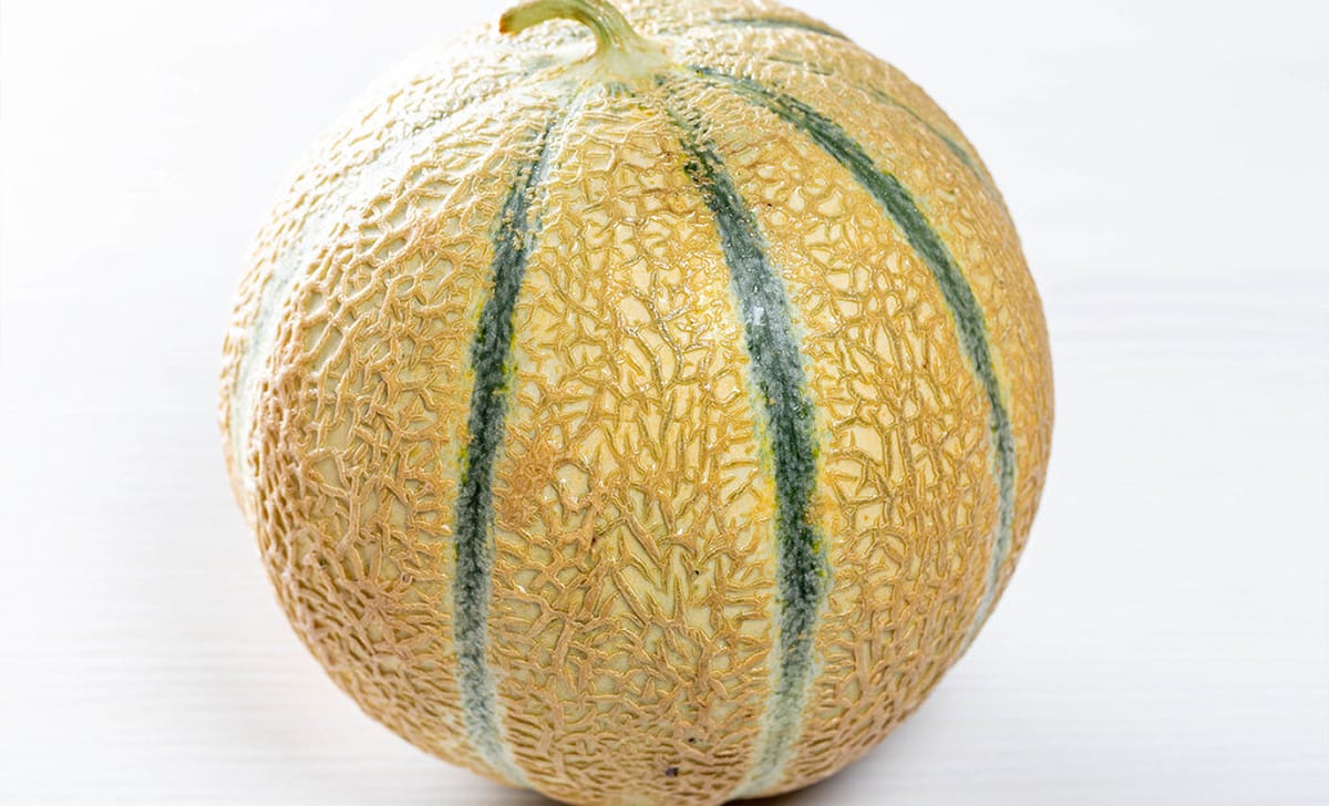 melone