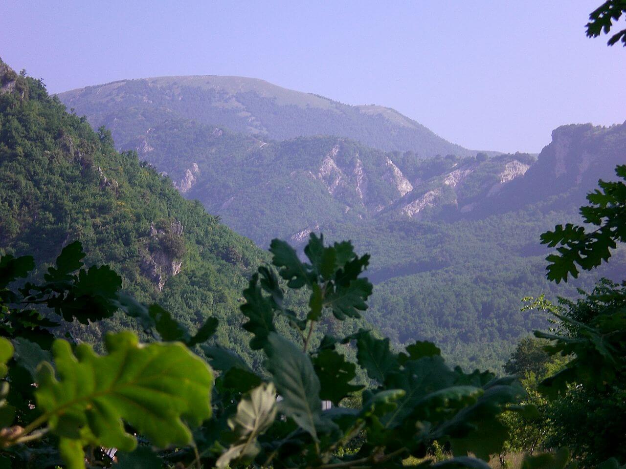 monte polveracchio