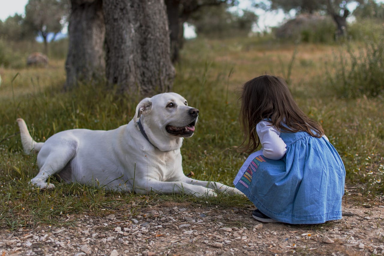 bambina con cane