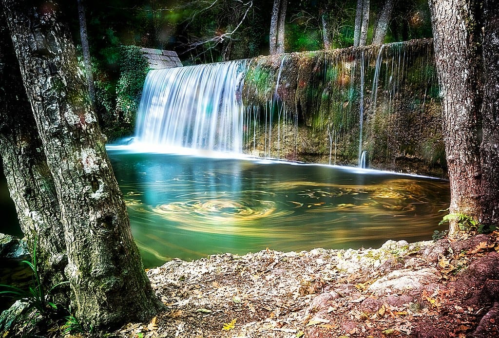 Bosco Magnano Basilicata