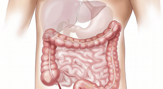 colon
