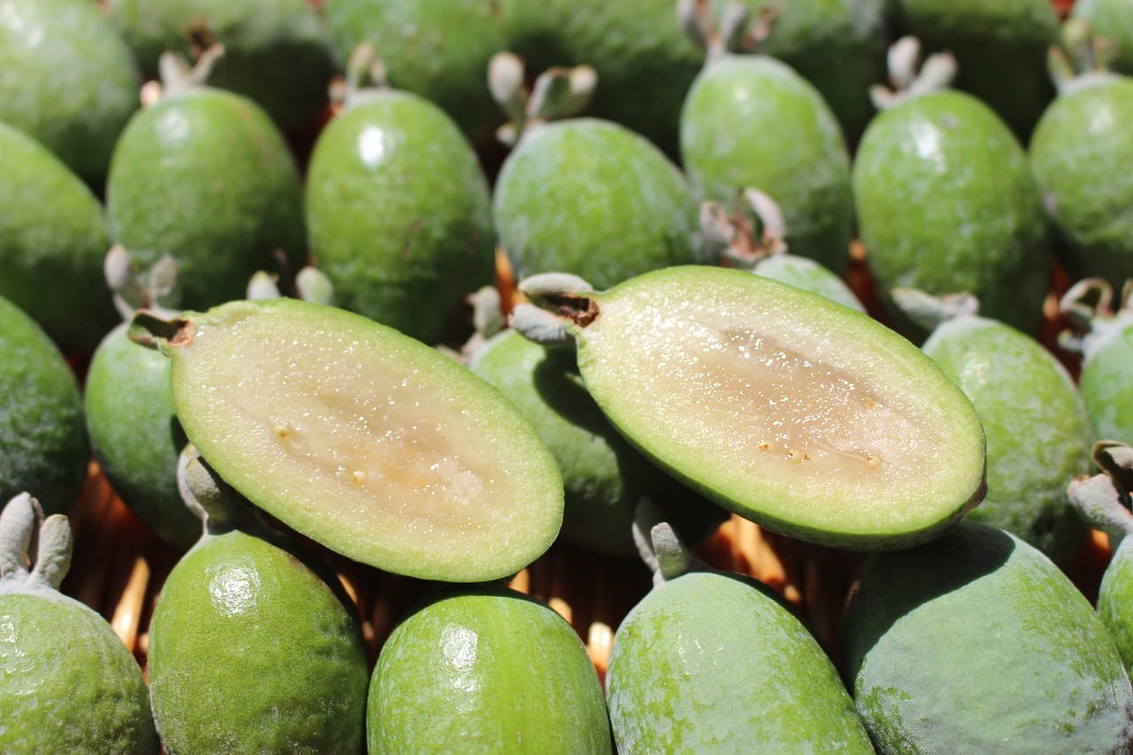 feijoa