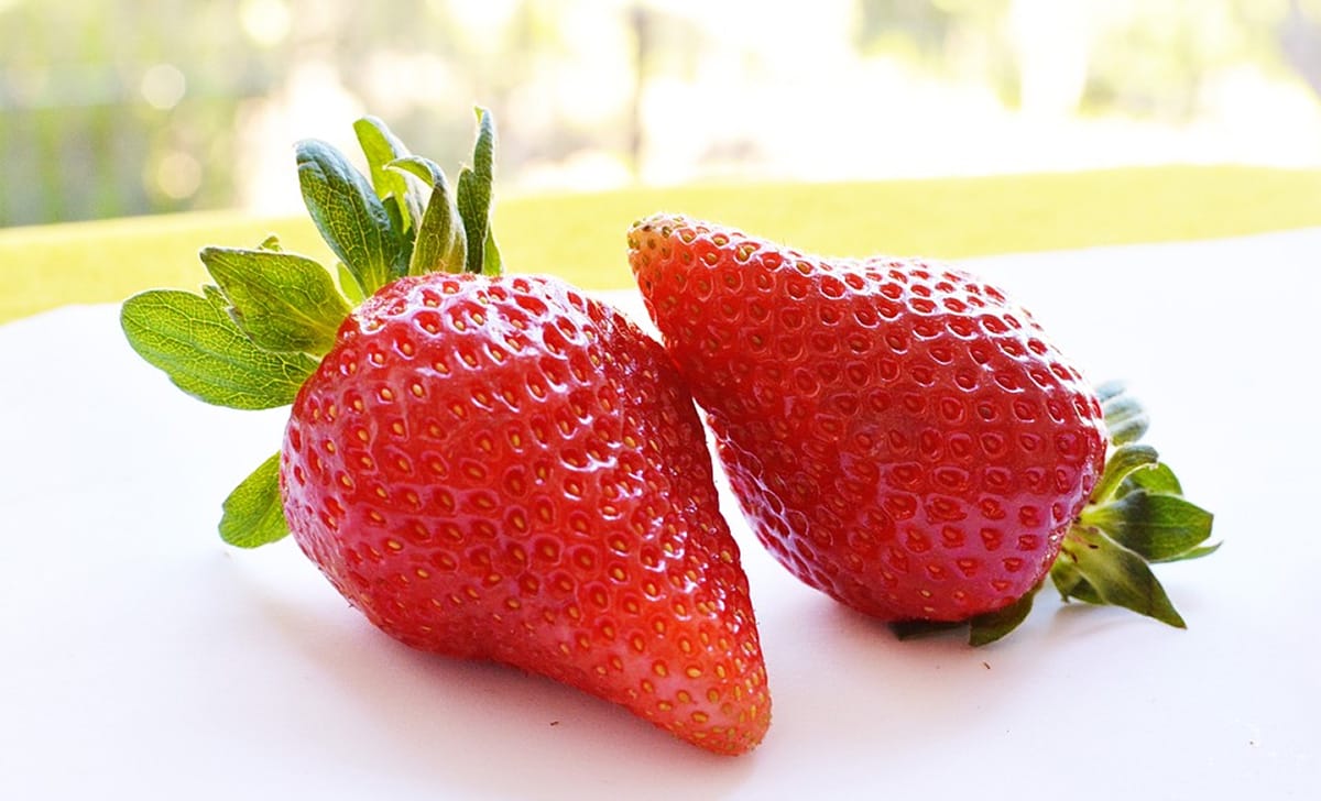 fragole