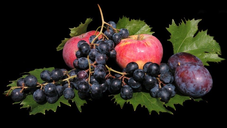 frutta uva nera