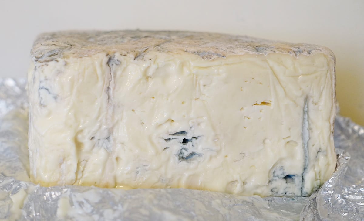 gorgonzola