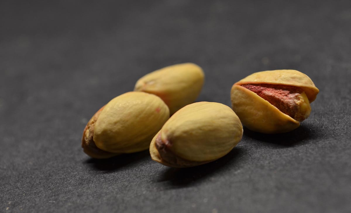 pistacchi