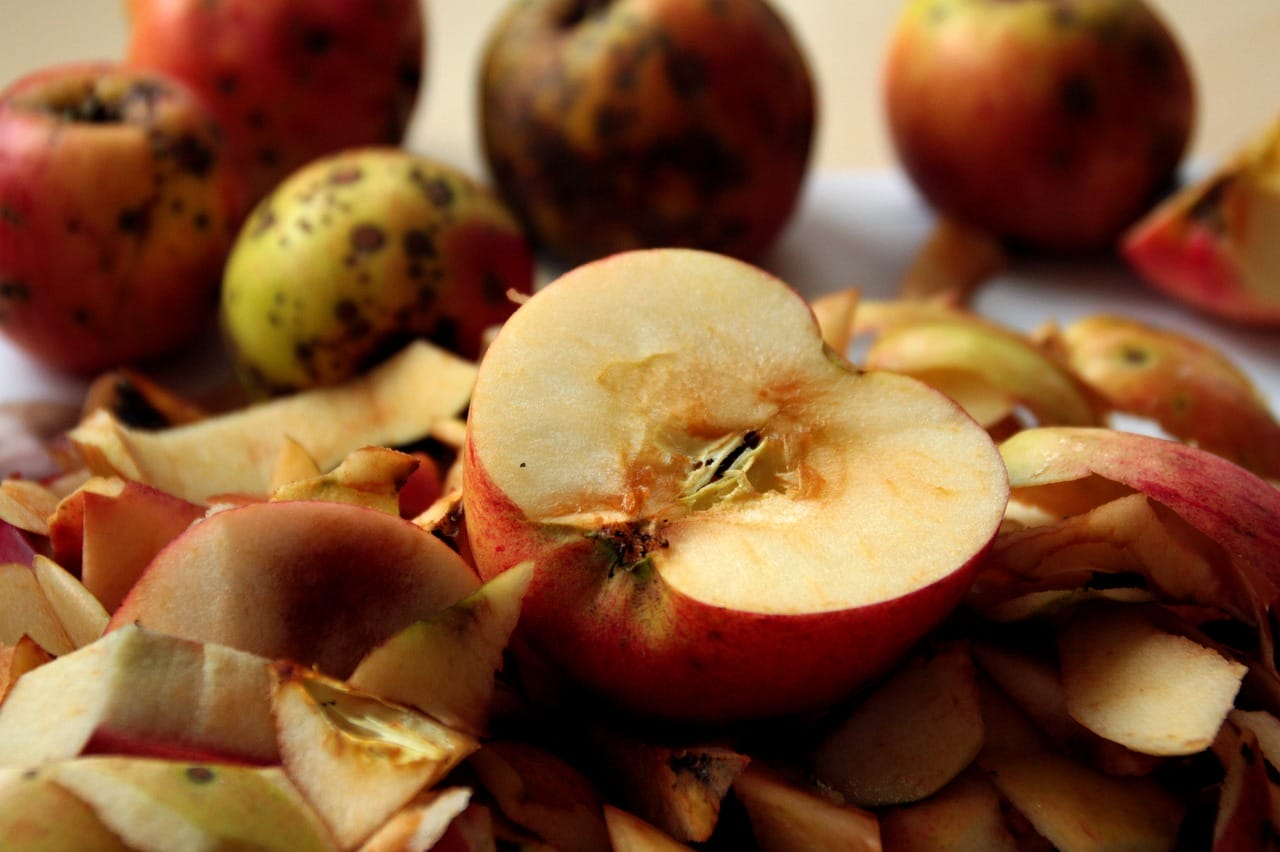 riciclo buccia mela