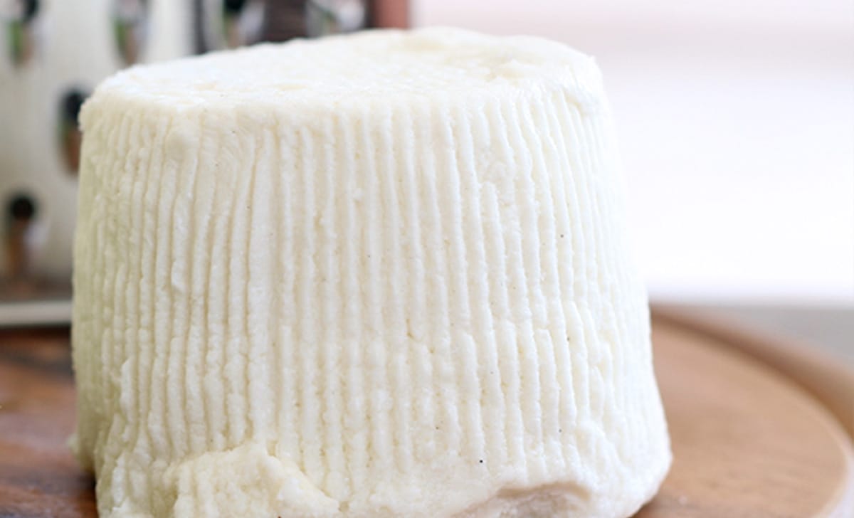ricotta