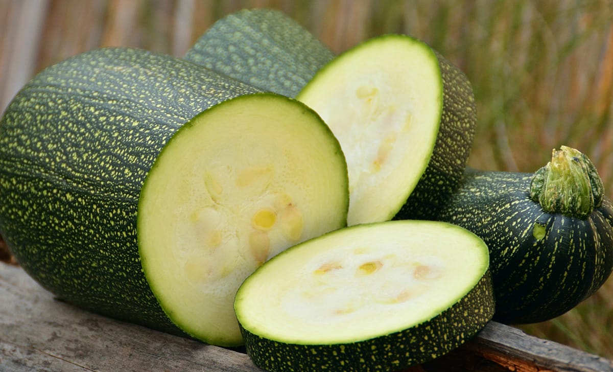 zucchini