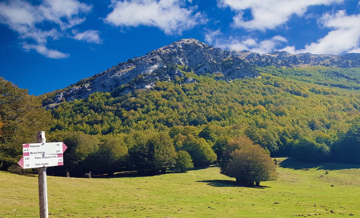 Parco del Pollino