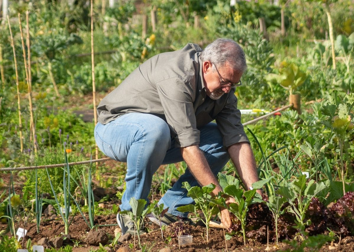 Dopo la potatura e prima dell'inizio della stagione vegetativa, trattare  giardino e orto con questa poltiglia può essere davvero importante