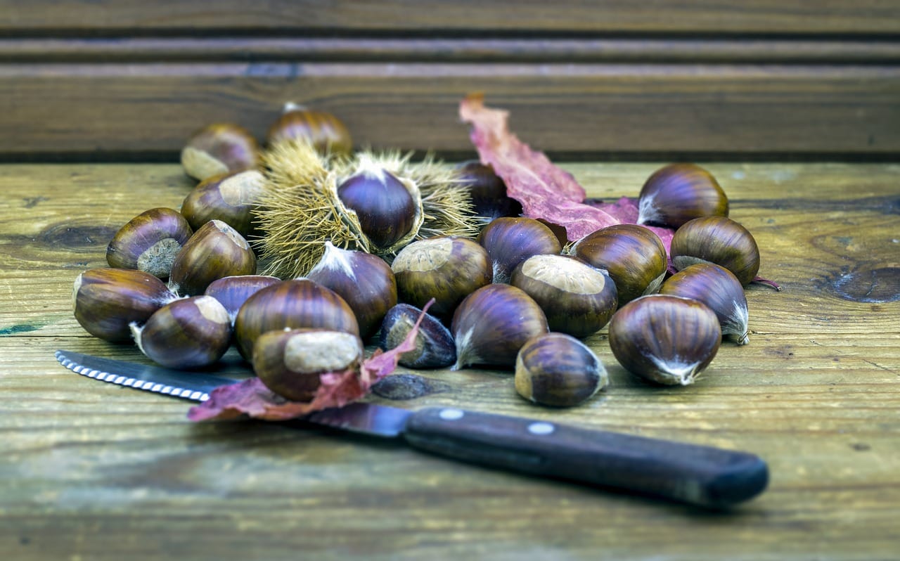 castagne