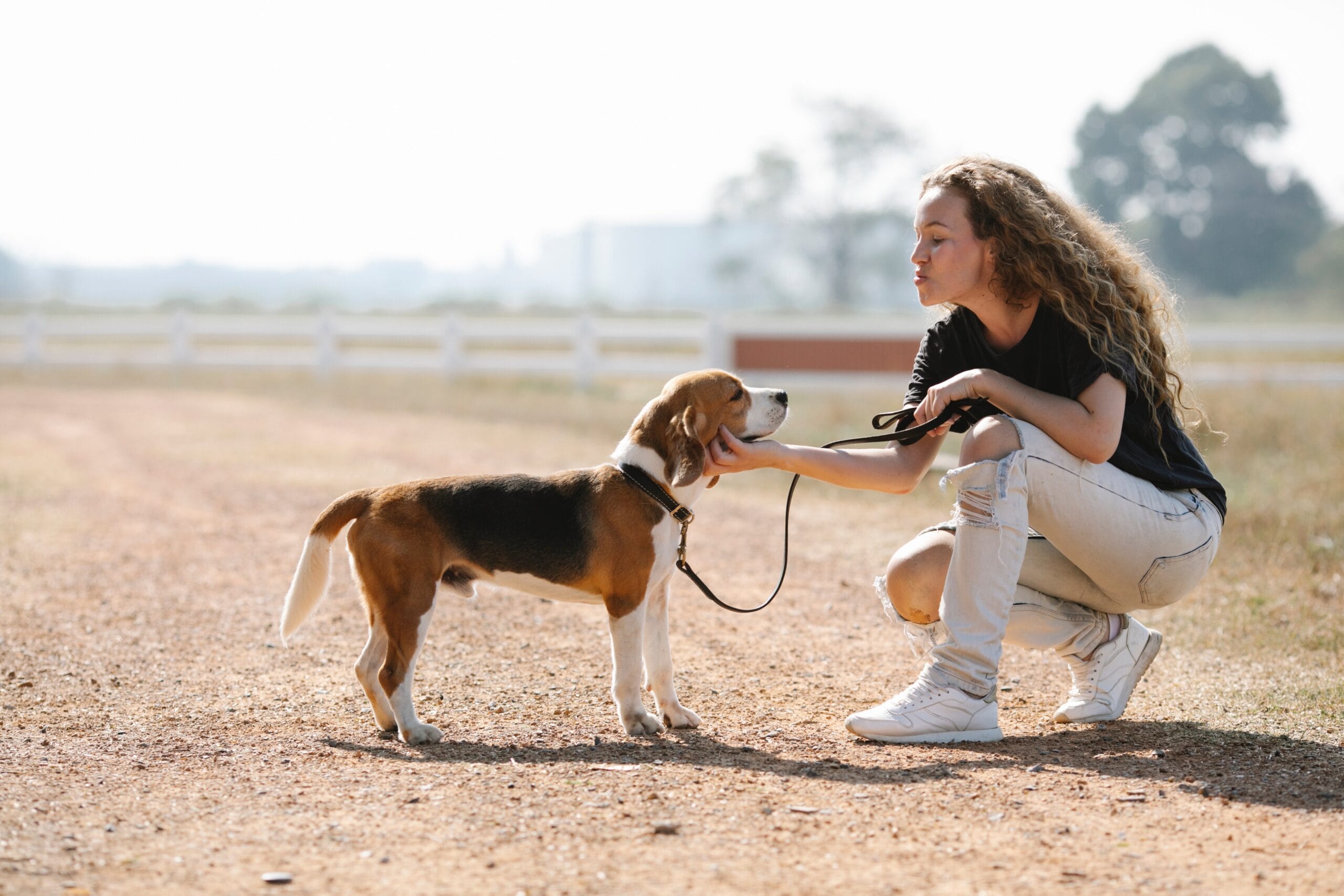 Guinzaglio Elastico Per Jogging Con Cane - Estensibile, Comodo Per Correre, Camminare E Andare In Bici - Foto 9