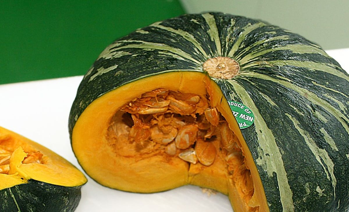 zucca delica