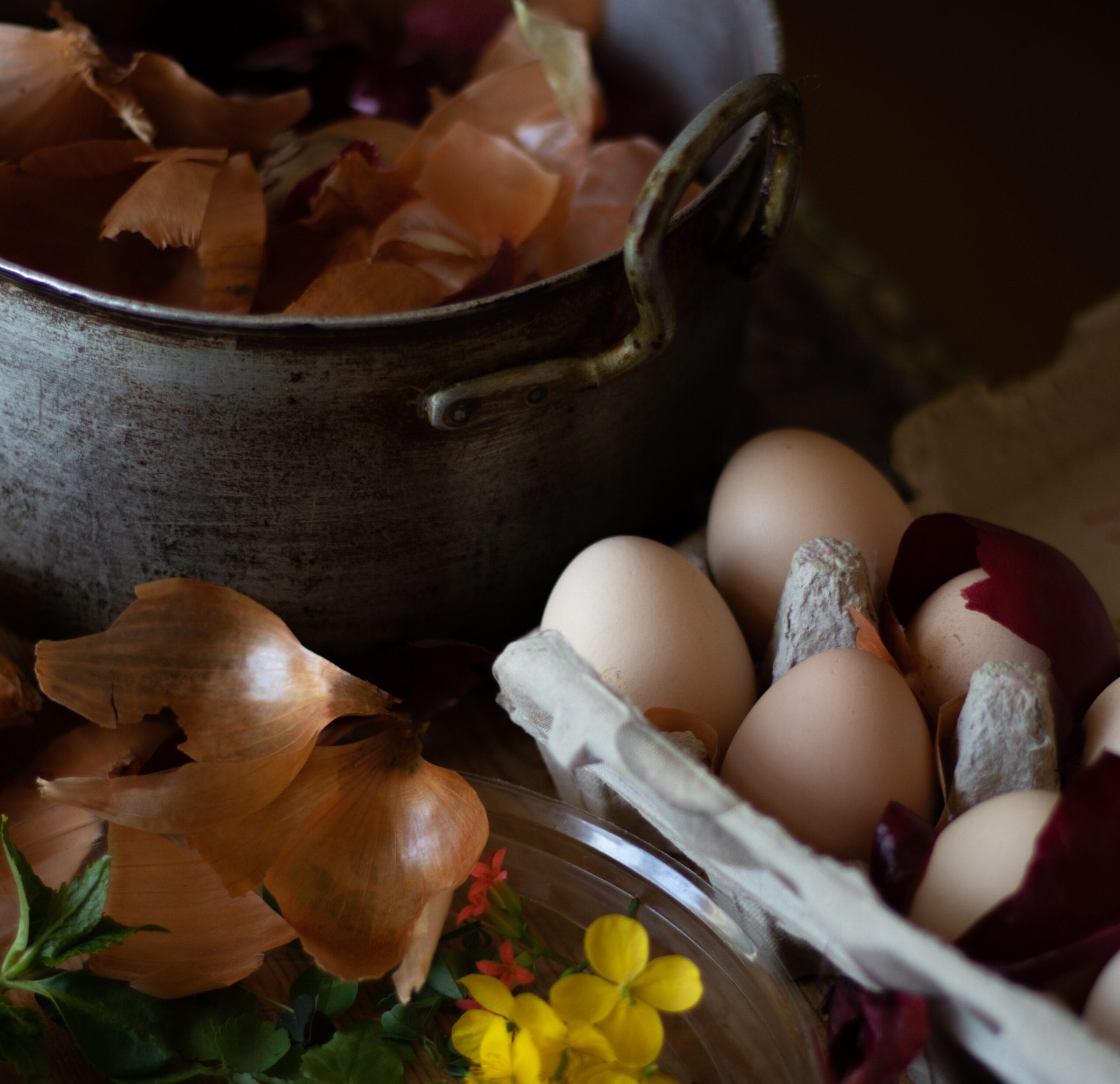 buccia della cipolla