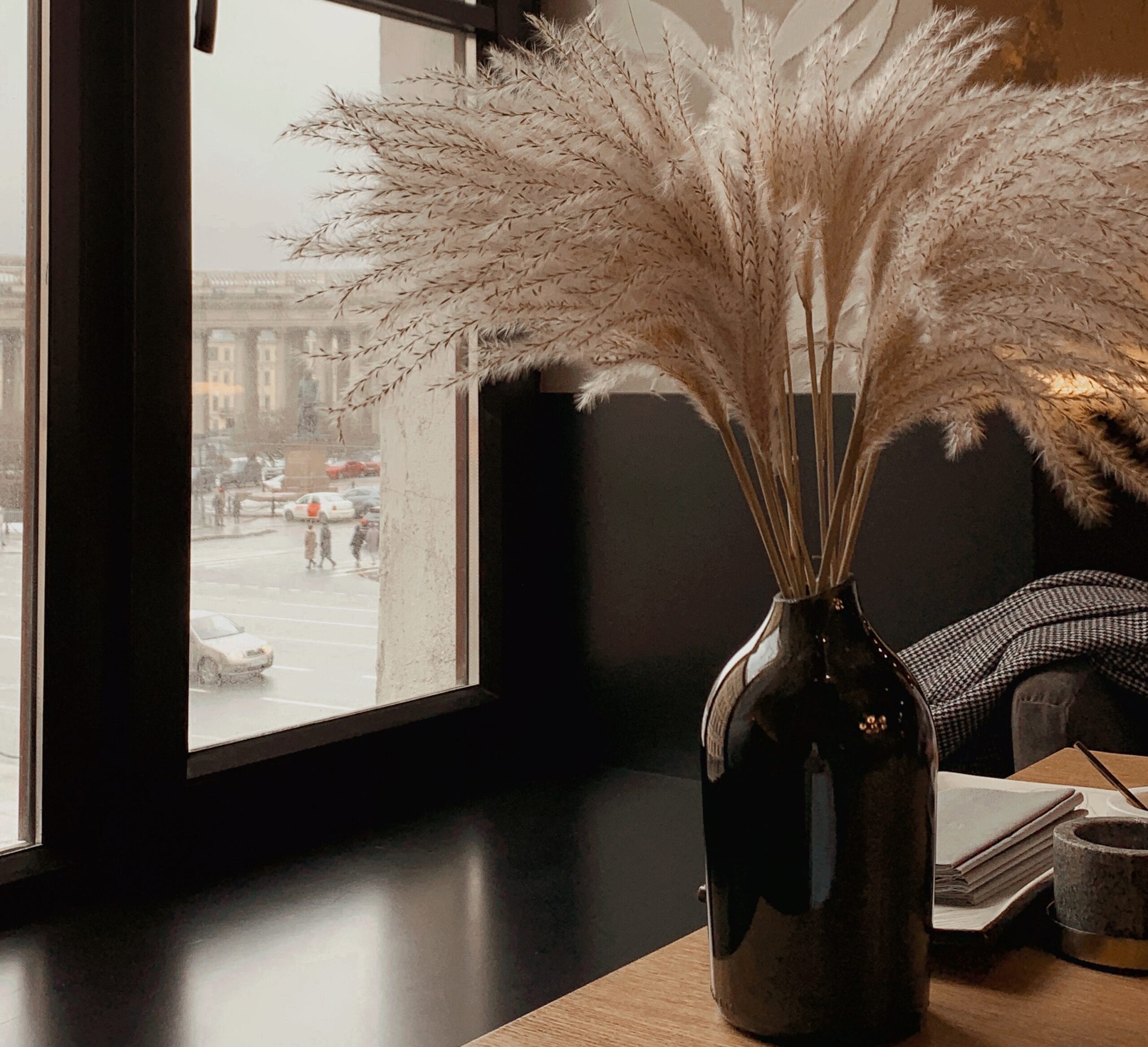 pianta della Cortaderia selloana