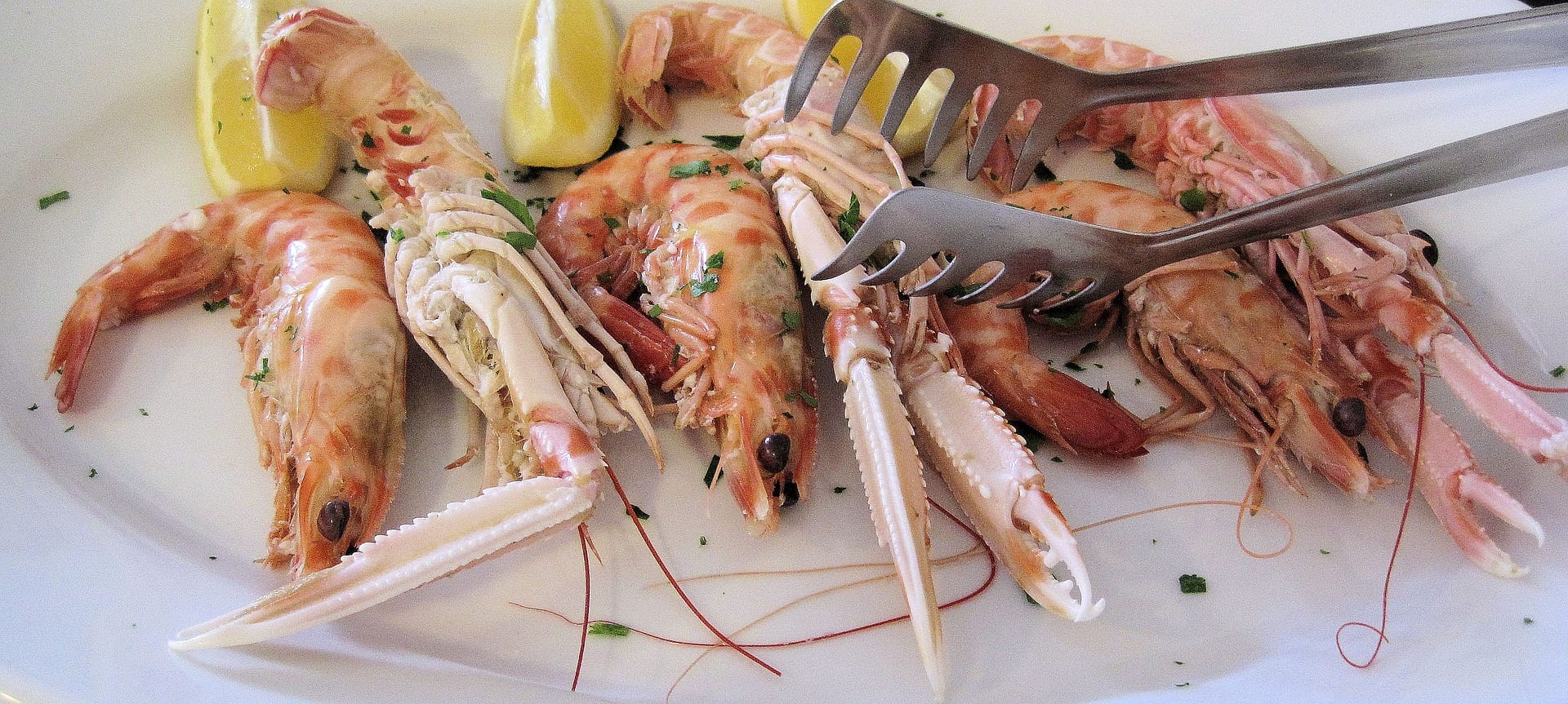 scampi