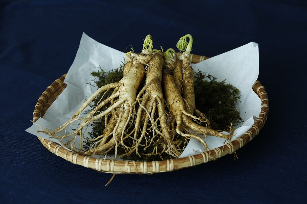 radice ginseng