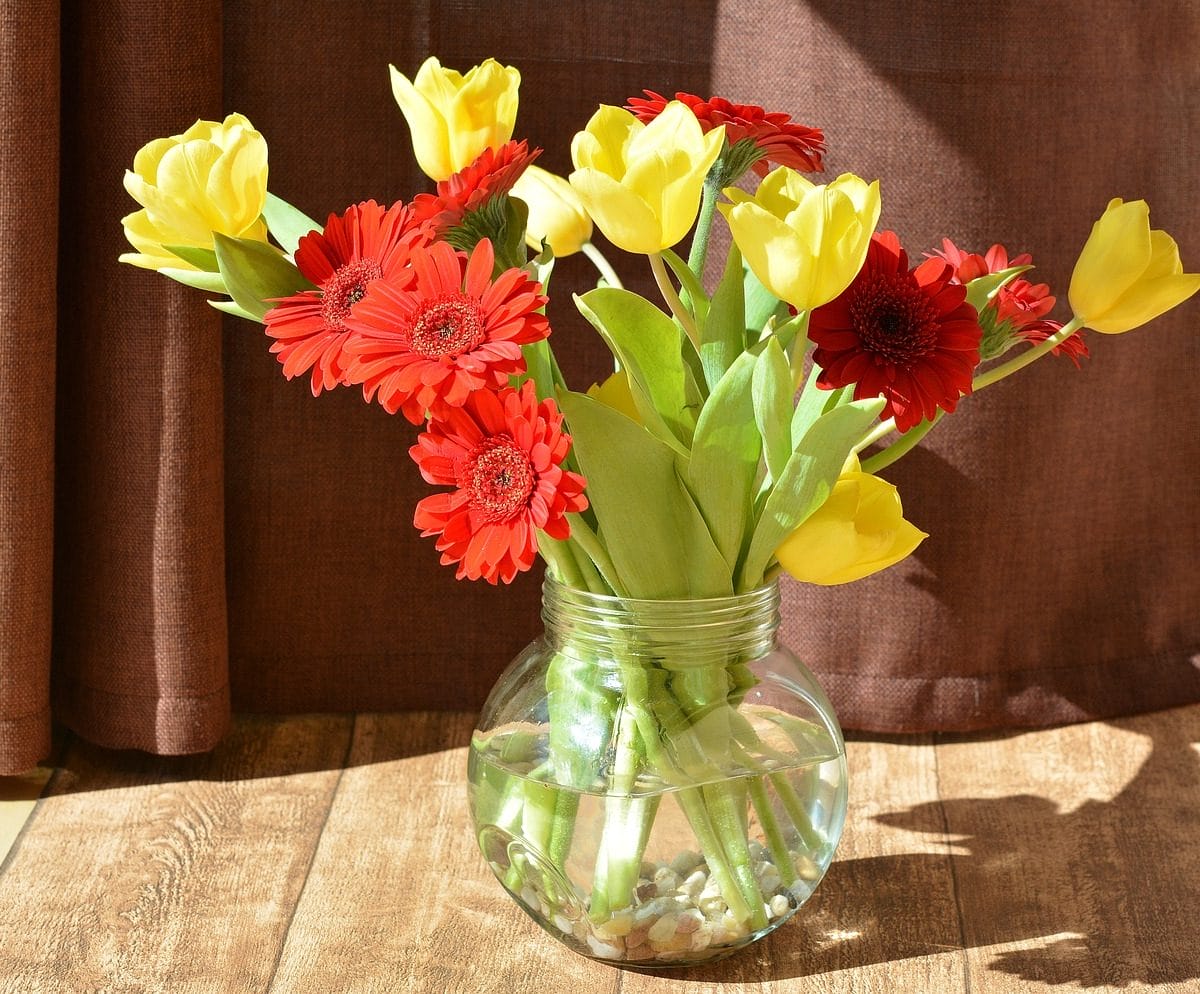 Cura e mantenimento dei fiori recisi in vaso - Vendita Ingrosso fiori  recisi per GDO