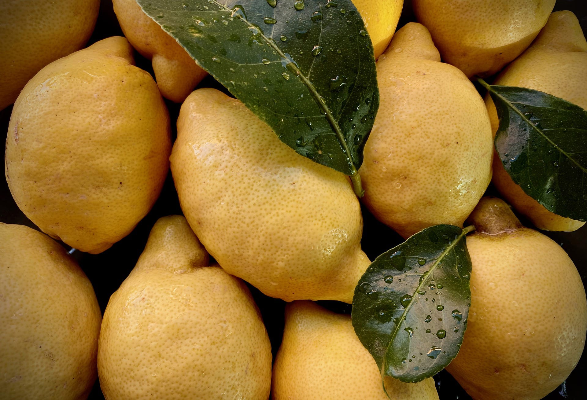 limoni