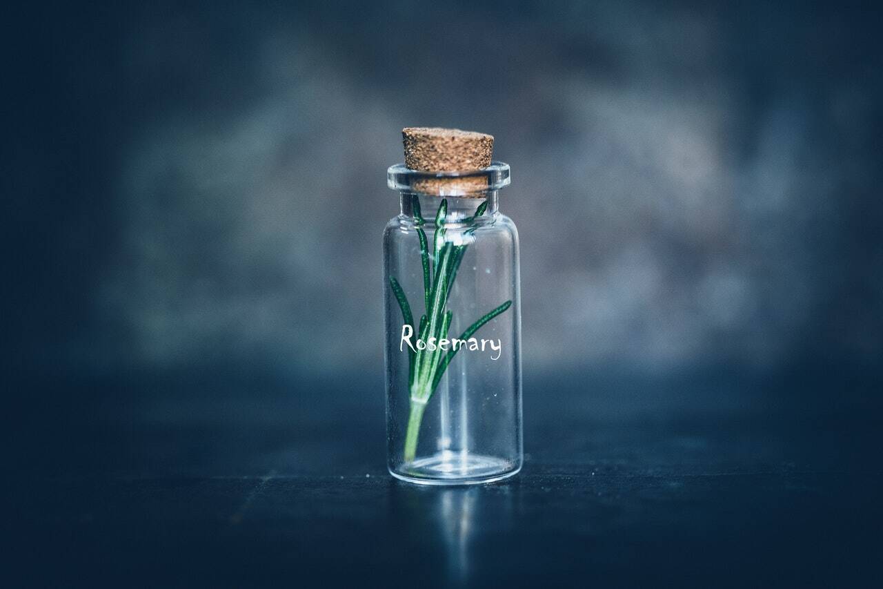rosmarino
