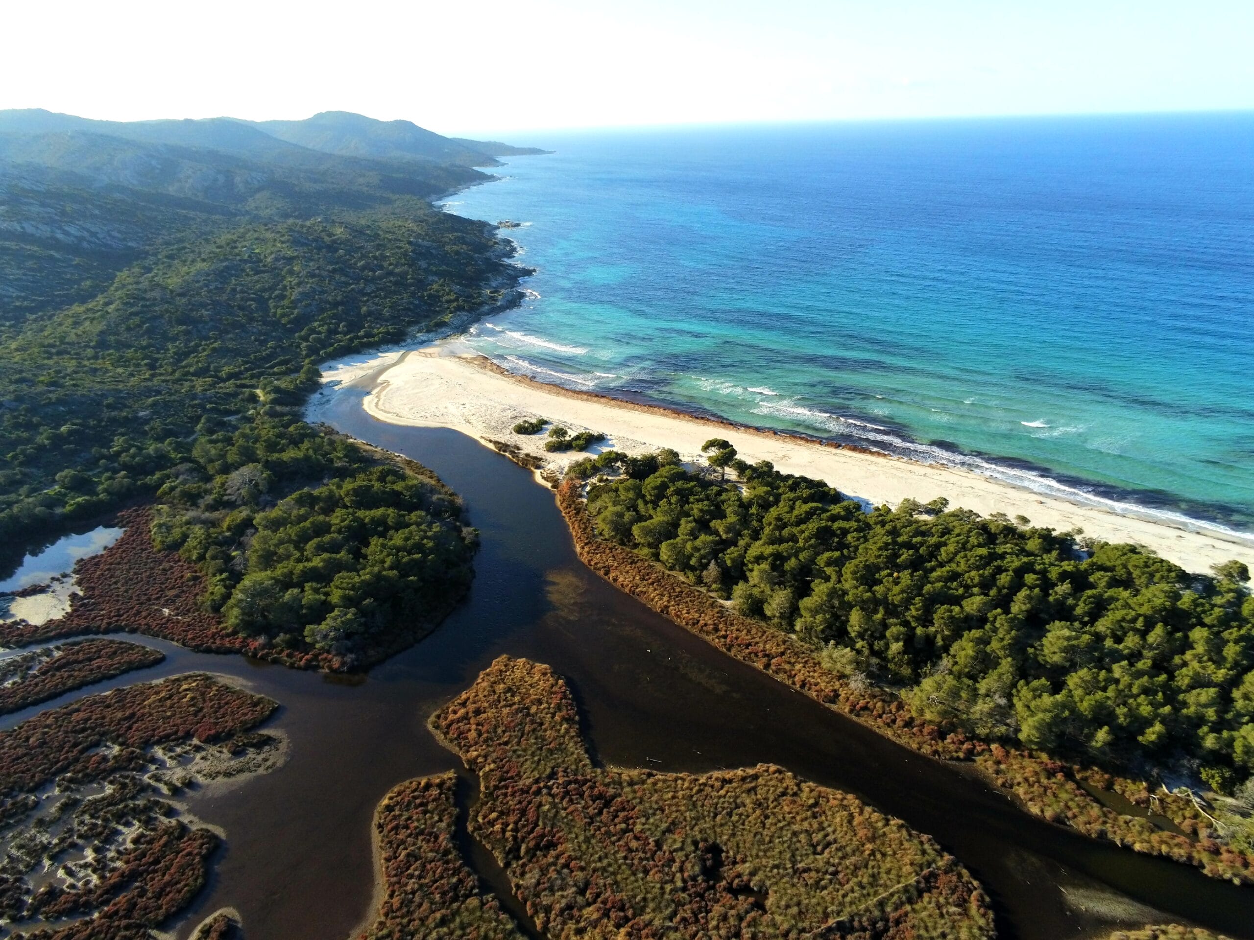 spiaggia di Saleccia