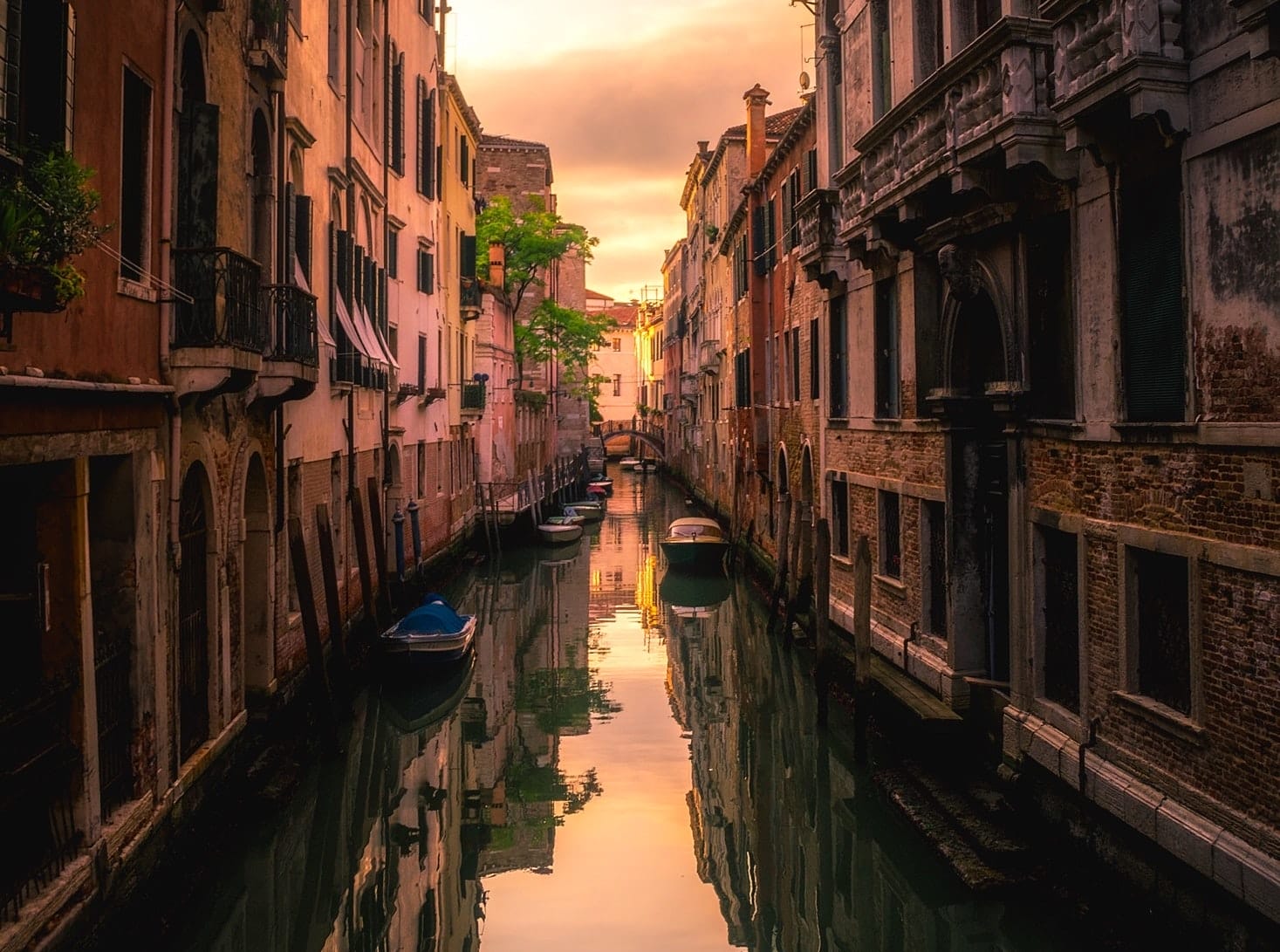 Venezia