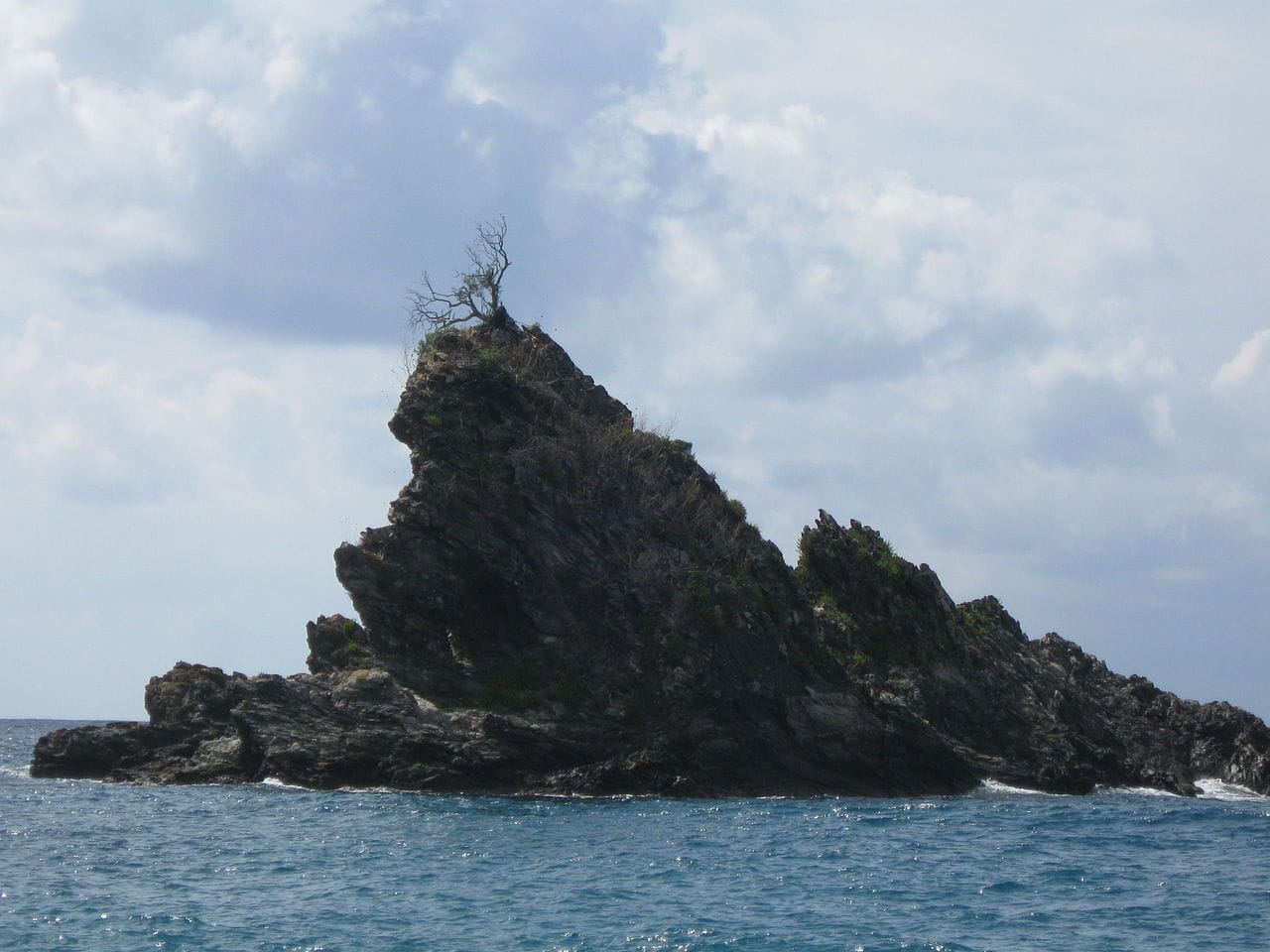 Scoglio dell'Ulivo