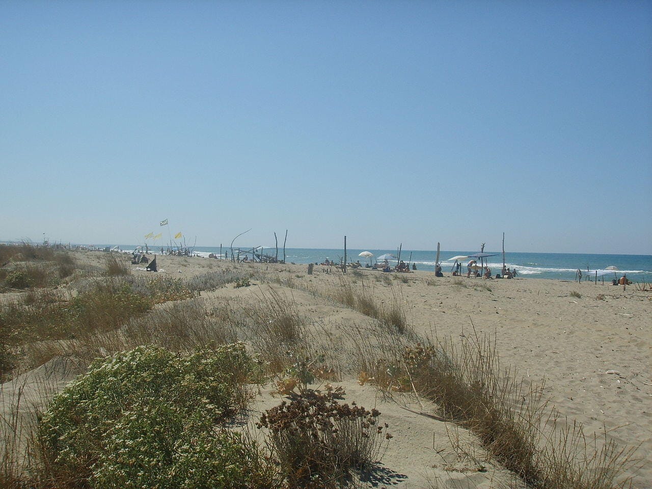 spiaggia della lecciona