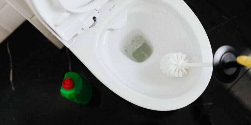 Metodi ecologici e naturali per sbiancare il WC e pulire il fondo
